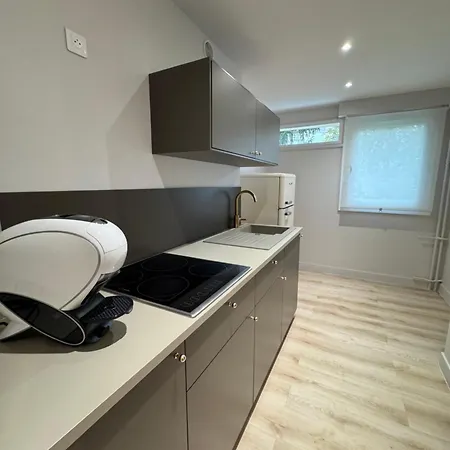 élégant Avec Jacuzzi Estrasburgo